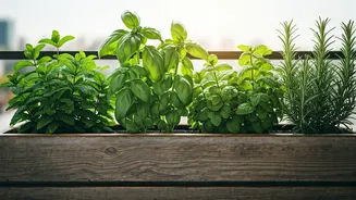 Balcony Herb Hacks Everyone Wants To Try