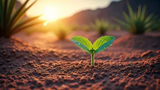 Monsoon Plant Growth Needs A Smart Head Start