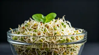 Boost Digestion: Sprouted Salad for a Healthier You