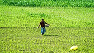 Govt Deploys AI-Driven Monsoon Forecasts, Pest Detection And Chatbot Tools To Boost Crop Productivity And Farmer Welfare