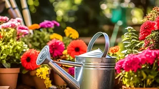 Plant Experts Recommend Watching Soil Instead Of Following Fixed Watering Schedules