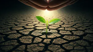 The Over-Parenting Trap: How Constant Rescue Hinders Growth
