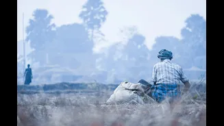 How Indian Farmers Use Weather Forecasts for Better Planning