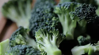 Vegetarian? Try these 5 nutritious vegetables