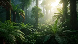 Monsoon Discounts Of 15-30% Make Nature Travel A Steal