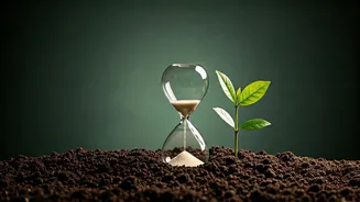 Young Professionals Want Time, Purpose And Stability