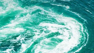 How Deep Ocean Currents Transport Water Around The Planet