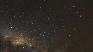 Halo Star Speeds Help Astronomers Reconstruct How Gaia Sausage Reshaped The Milky Way