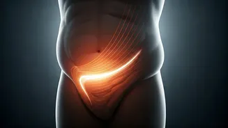 Unlocking the Mystery: Why Belly Fat Creeps In After 30 & How to Fight Back