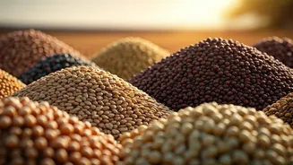 Why Climate-Smart Millets Are Back In Demand