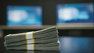 Indian Influencer's Brand Collaboration Earnings: A Look at the Numbers