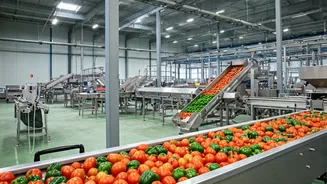 Boosting Food Processing: ₹1,200 Cr Investment Announced