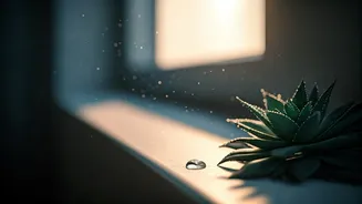 Why Peaceful Mornings Feel More Rewarding