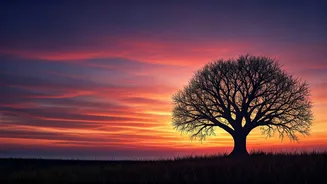 Debchandrima's Guide: Capturing the Magic of Sunset Moments