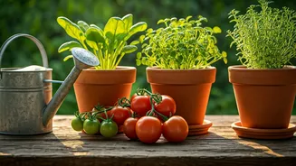 Grow Healthy Food Without The Stress