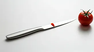 Ann Michael's Hilarious Kitchen Mishap Goes Viral!