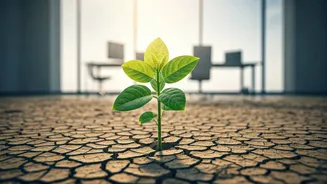 Gen Z Is Asking For Growth, Not Gimmicks