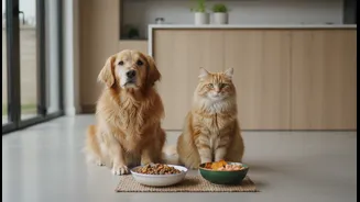 Healthy Treats And Gourmet Meals Need The Right Balance For Happy Pets