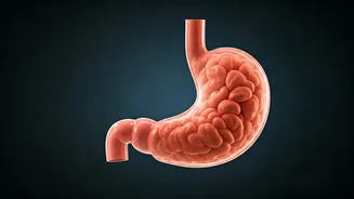 थकान के 5 छिपे कारण: भोजन से परे