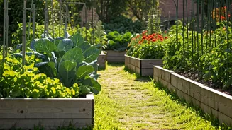 Post-Retirement Life: Thriving in Your 60s and Beyond