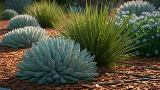 Water-Smart Gardening Is Trending Again