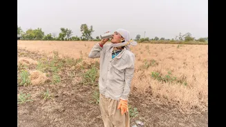 How Monsoon Patterns Impact India's Food Security