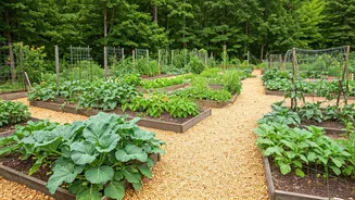 Post-Retirement: Redefining Life & Finding Joy After 60