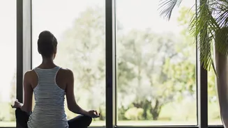 Related Stories banner