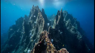 Scientists still need longer records across more ridge systems: a key limit for Indian Ocean Seafloor Spreading