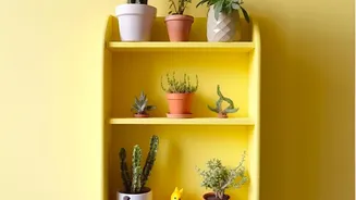 The Case For Fewer Larger Objects In The Over-Styled Shelf Trend Reversal