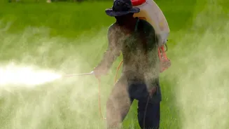Punjab And Maharashtra Farmers Deploy Low-Cost AI Sensors To Fight Crop Diseases