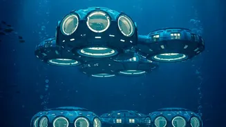 How The New Ocean Iron Study Helps Scientists Study Ocean Fertilisation Limits