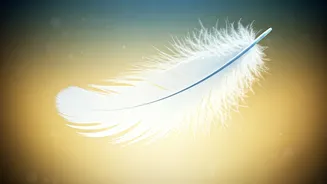 7 Divine Signs: Is Your Connection Guided By Angelic Energy?