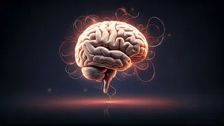 Dance Your Way to a Healthier Brain: Unveiling the Psychological Wonders of Movement