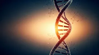 World Cancer Day 2026: Uniting for Unique Journeys to Combat Cancer