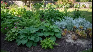 Small Gardens Benefit From Grouping Plants With Similar Water Needs