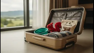 Pet-Friendly Holidays Need Policy Checks Before Group-Chat Excitement Takes Over