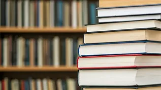 Education: The Key to a Brighter Future