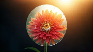 Navigating the Ups and Downs: How to Heal After a Breakup