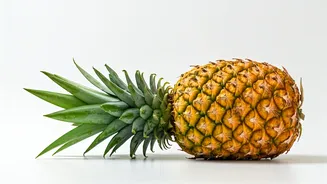 Queen Pineapple Can Sweeten Your Dessert Plans