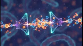 How microscopic gatekeepers regulate calcium signaling channels inside human brain cells