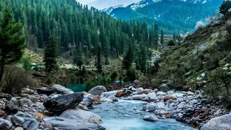 Quiet Nature Retreats: Offbeat Himachal Stays In Tirthan Valley And Shoja Monsoon