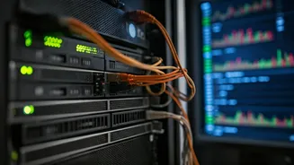 Indian Stock Market: Key Trends & Sector Insights (Nov 17, 2025)