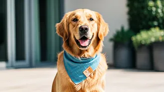 Keep Dogs Cool Using Fashionable Breathable Indian Cotton Pet Outfits