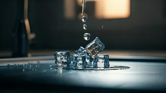 Unlock a Fresh Kitchen: The Surprising Power of Vinegar Ice Cubes