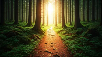 Unveiling India's Top 5 Destinations for Solo Adventurers