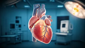 3D Imaging: A New Era in Heart Surgery