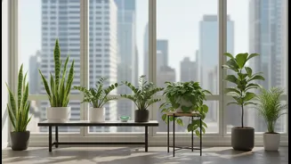 Busy City Lifestyles Drive Demand For Easy Plant Care Solutions