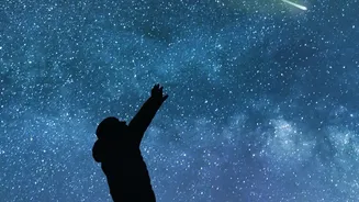 August Stargazing In India: From Meteor Showers To Other Celestial Sights