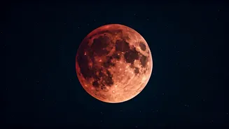 Related Stories banner